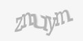 Защитный код