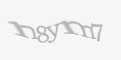 Защитный код