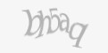 Защитный код