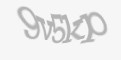 Защитный код