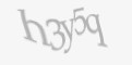 Защитный код